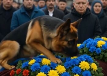 Овчарка у гроба: верность, которая раскрыла страшную правду